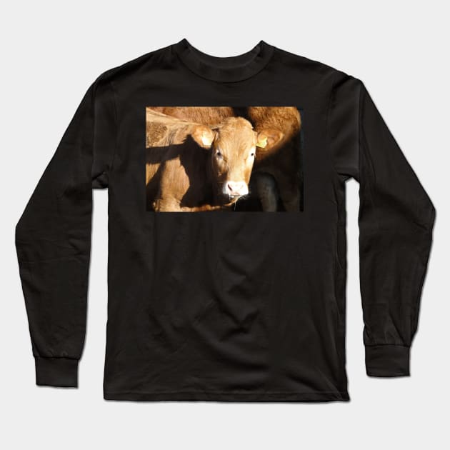 Anyone Have A Tissue Please? Long Sleeve T-Shirt by AH64D